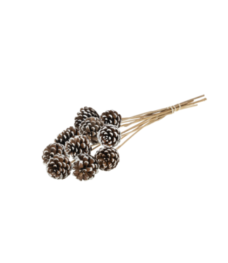 LDD Pine cone 5-7cm o/s 10pc natural white tip ( x 12 )