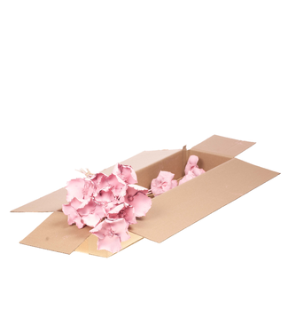 LDD Pink Misty Palm Cups on a stick | 10 Palm Cups per bunch | Per 2 bunches