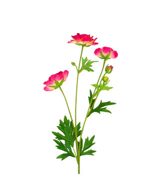 4A Kunstbloemen Ranunculus 60cm x7 ( x 4 )