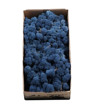 AD Blaues Rentiermoos oder Isländisch Moos | 500 g pro Packung | Pro 6 Stück