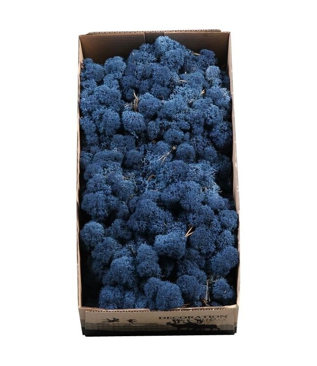 Mousse de renne bleue ou mousse d'Islande | 500 grammes par paquet | Commande par 6 pièces