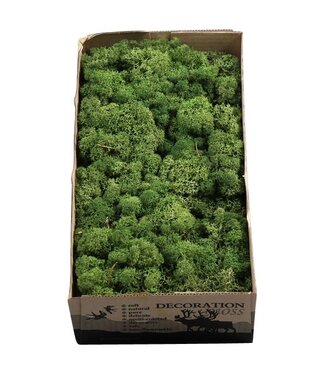 AD Moss green reindeer moss or Iceland moss | 500 g per pack | Per 6 pieces