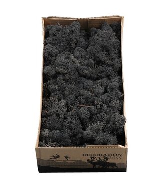 AD Black reindeer moss or Iceland moss | 500 g per pack | Per 6 pieces