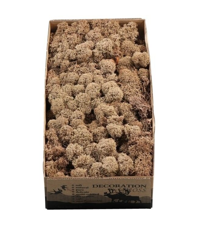 Brown reindeer moss or Iceland moss | 500 grams per pack | Order per 6 pieces