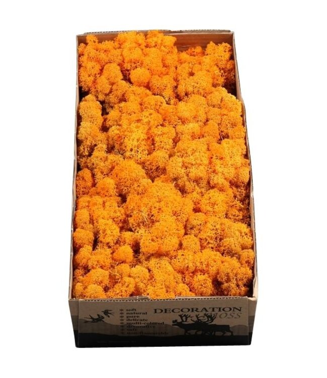 Orange reindeer moss or Iceland moss | 500 grams per pack | Order per 6 pieces