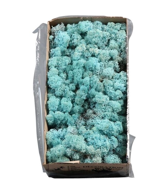 Mousse de renne aigue-marine ou mousse d'Islande | 500 grammes par paquet | Commande par 6 pièces