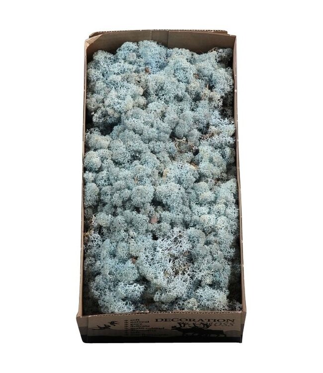 Ice blue reindeer moss or Icelandic moss | 500 grams per pack | Order per 6 pieces
