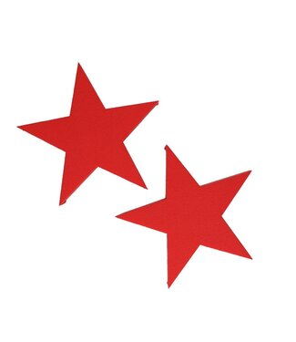 4A Red Oasis star | Diameter 25 centimetres | Per 2 pieces
