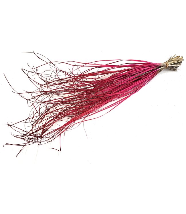Beargrass dried per bunch Cerise ( x 20 )