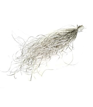 QC Beargrass dried per bunch Platina ( x 20 )