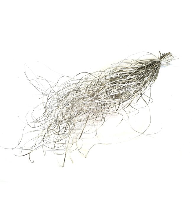 Beargrass dried per bunch Platina ( x 20 )