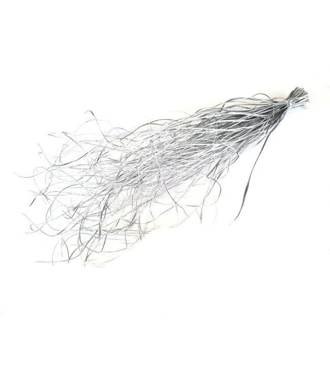 Beargrass dried per bunch Silver ( x 20 )