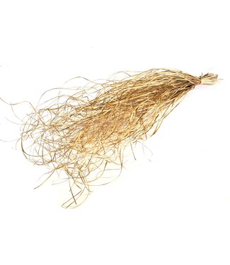 QC Beargrass dried per bunch Antique Gold ( x 20 )