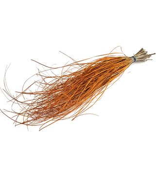 QC Beargrass dried per bunch Orange | Per 20 stuks