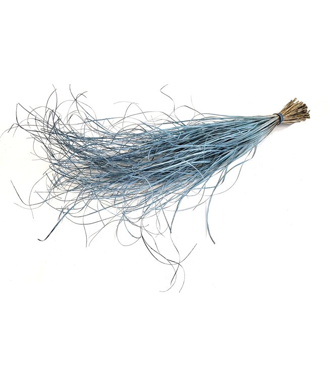Beargrass dried per bunch Frosted Light Blue ( x 20 )