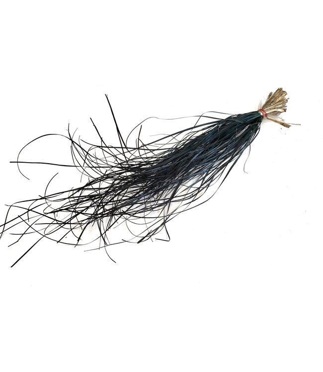 Beargrass dried per bunch Black ( x 20 )