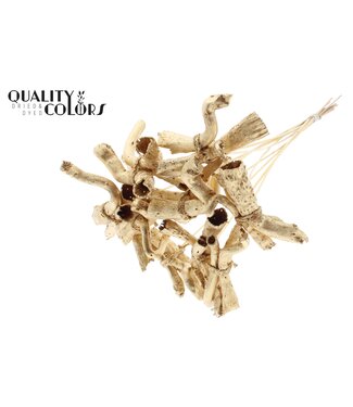 QC Gandiraj on stem Antique Gold | Per 50 stuks
