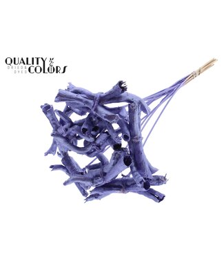 QC Gandiraj on stem Metallic Purple | Per 50 stuks