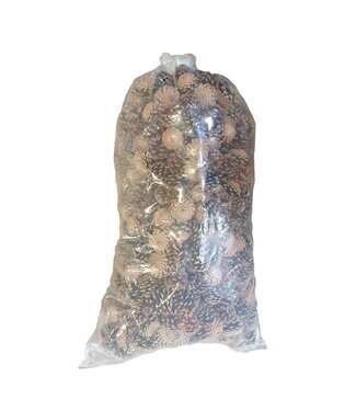 QC Grote zak met natuurlijke dennenappels | Per 10 kilo