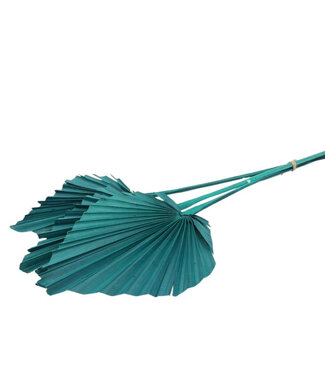4A Green dried Palm leaf | Palm Spear dried flowers | 10 stems per bunch | Length 50 centimetres | Per bunch