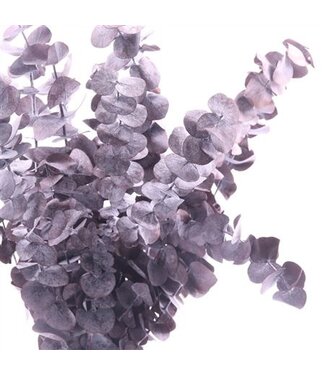 AD Purple reserved True Blue Cafe | Length 50 centimetres | Per 30 pieces