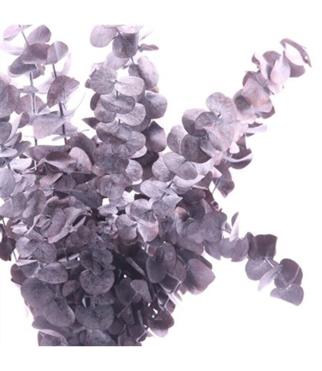 Purple reserved True Blue Cafe | Length 50 centimetres | Ordered by 30 pieces