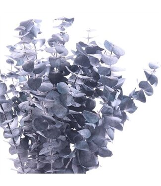 AD Blue prestressed True Blue | Length 50 centimetres | Per 30 pieces