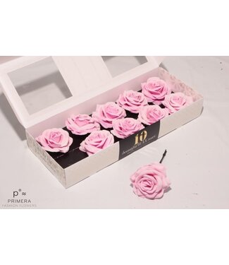 AD Crystal pink silk wax roses | Per 10 pieces