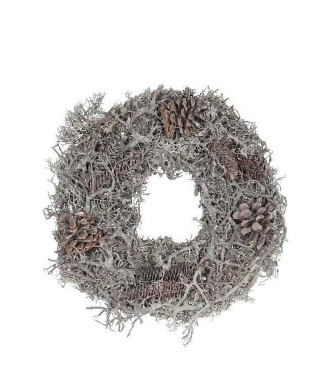 Couronne de pin Bonsaï naturel | Diamètre 40 centimètres | Commande par pièce