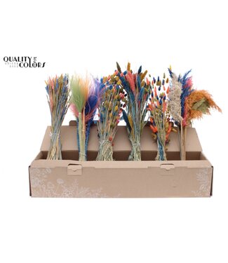 QC Groen, blauw, roze kleurrijke droogbloemen mix | Lengte 60 centimeter | Mix van 6 bossen