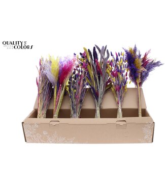 QC Lila, gelb, Milka bunte Trockenblumenmischung | Länge 60 Zentimeter | Mischung aus 6 Bündeln