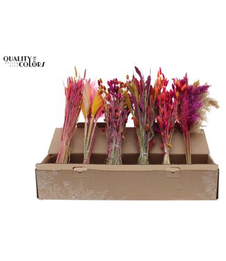 QC Mélange de fleurs séchées colorées jaune, rose | Longueur 60 centimètres | Mélange de 6 bouquets