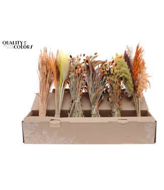 QC Terra Erdtöne bunte Trockenblumen-Mix | Länge 60 Zentimeter | Mix aus 6 Bündeln