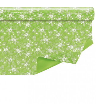 4A Light green Evana film on roll | 80 centimetres wide | Length 40 metres | Per piece