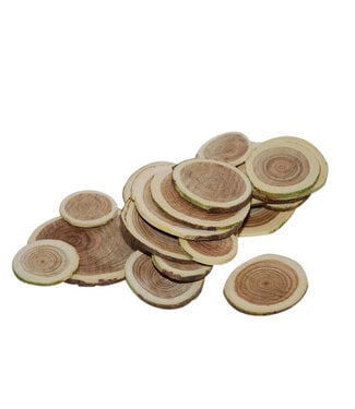 4A Naturholzscheibe für Trockenarrangements | Durchmesser 2-4 Zentimeter | Gewicht 250 Gramm | Pro Stück
