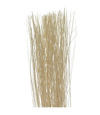 4A Branches de Yanagi blanches séchées | Poids par bouquet 250 grammes | Par pièce