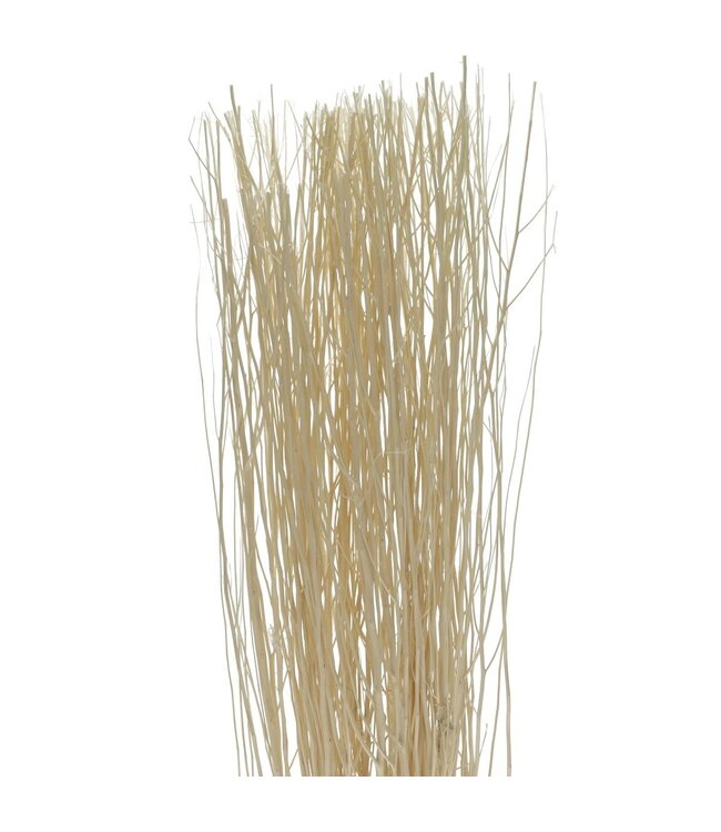 Branches de Yanagi séchées blanches | Poids par bouquet 250 grammes | À commander à l'unité