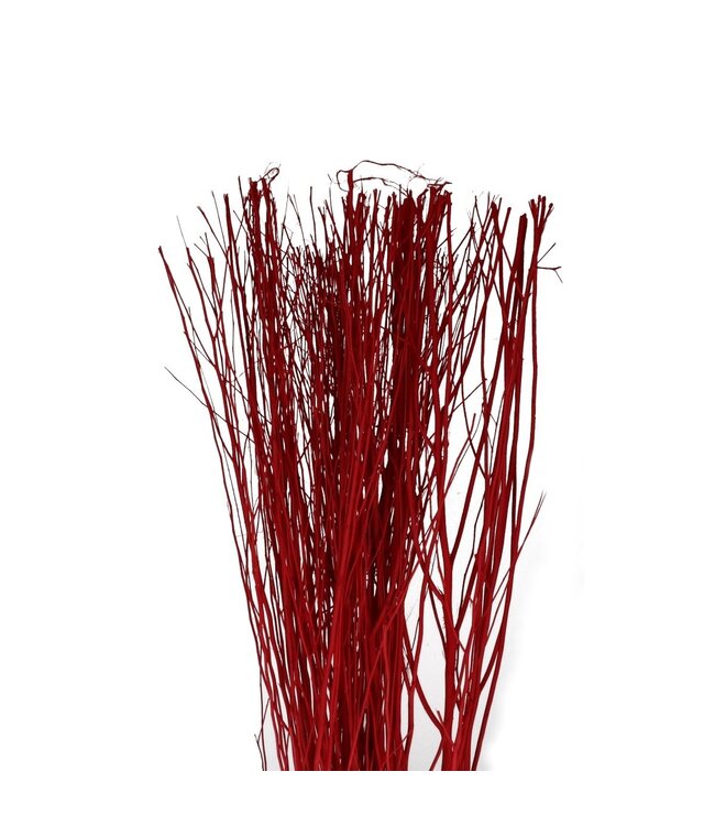 Branche de Yanagi séchée rouge | Poids par botte 250 grammes | Disponible à l'unité