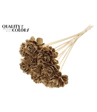 QC Shola Dhaliya 6cm on stem Antique Gold ( x 50 )