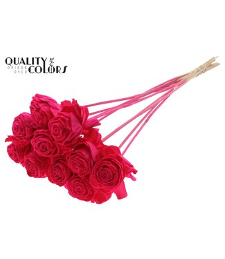 QC Shola Dhaliya 6cm on stem Cerise ( x 50 )