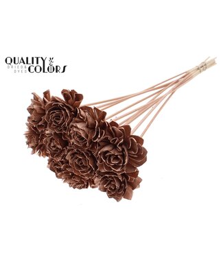 QC Shola Dhaliya 6cm on stem Copper ( x 50 )