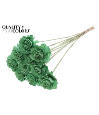 QC Shola Dhaliya 6cm on stem Mint Green ( x 50 )