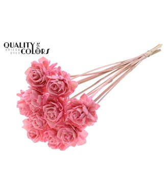 QC Shola Dhaliya 6cm on stem Light Pink ( x 50 )