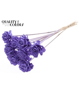QC Shola Dhaliya 6cm on stem Milka ( x 50 )