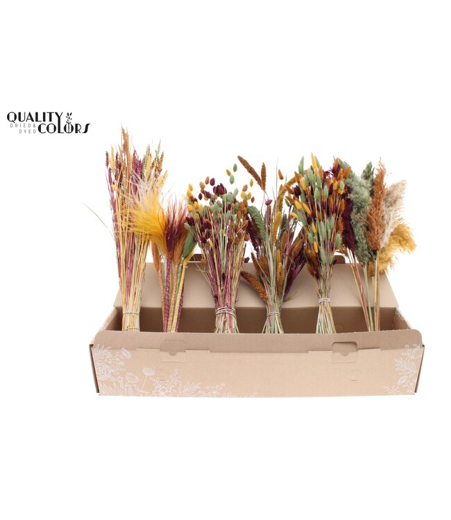 Various Driedflower Mix Pumpkin Spice ( x 6 )