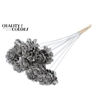 QC Shola Dhaliya 6 centimeter on stem Platina | Per 50 stuks