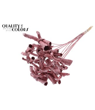 QC Gandiraj on stem Metallic Red | Per 50 stuks