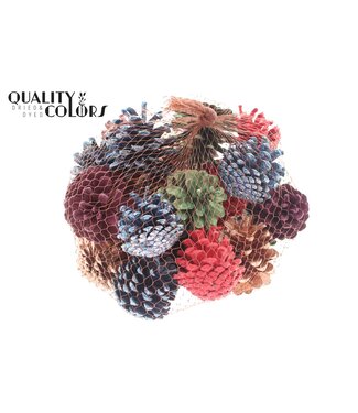 QC Pine cone | Gewicht 500 gram r in net Assorted | Per 4 stuks