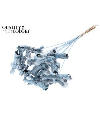 QC Gandiraj on stem Metallic Blue | Per 50 stuks