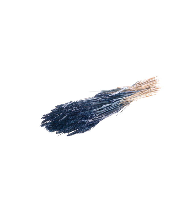 Blé séché | Fleurs séchées bleu foncé | Commande par 20 bouquets